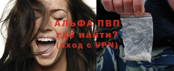 твердый Новозыбков