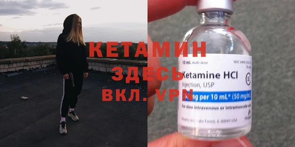 твердый Новозыбков
