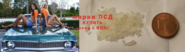 твердый Новозыбков