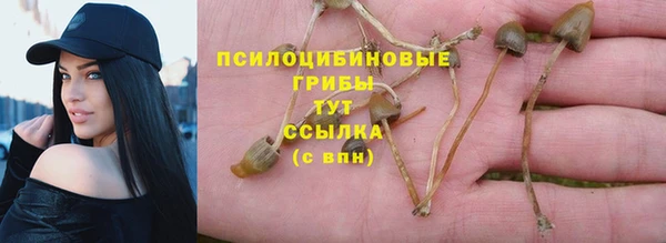 твердый Новозыбков