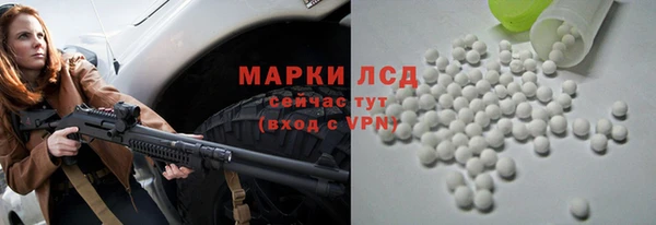 молекула духа Болотное