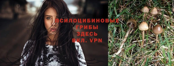 МДПВ Новодвинск