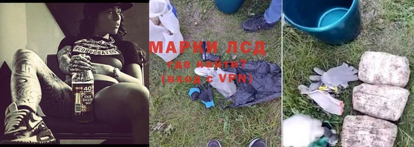 МДПВ Новодвинск