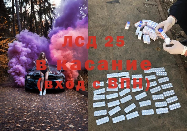 твердый Новозыбков