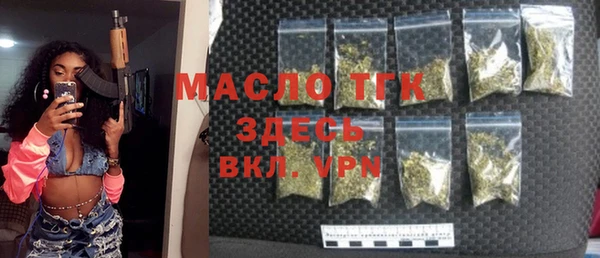 твердый Новозыбков