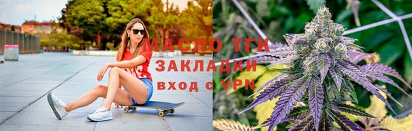 твердый Новозыбков
