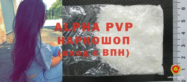 твердый Новозыбков