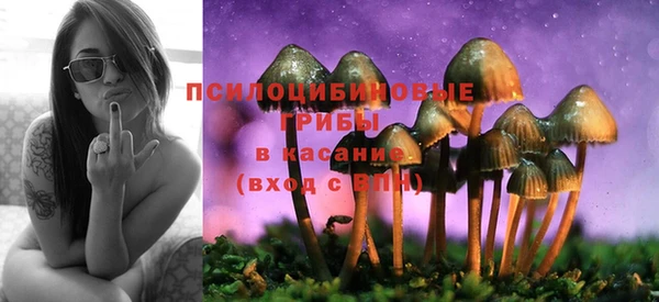 МДПВ Новодвинск