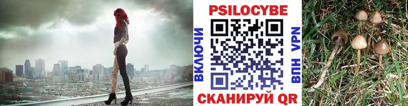 Псилоцибиновые грибы прущие грибы  мега зеркало  Хилок  наркота 